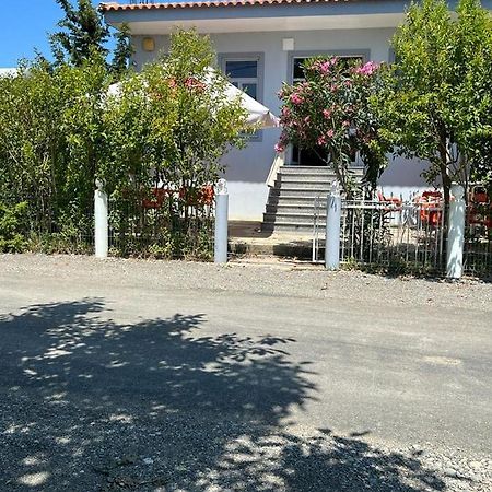 Guest House Andersoni Dhoma Plazhi Andersoni Shen Ded Gjoni Exterior foto